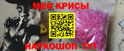спайс Кингисепп