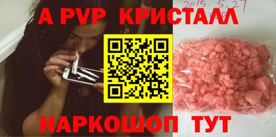 спайс Кингисепп
