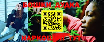 спайс Кингисепп