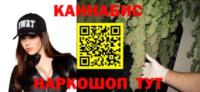 спайс Кингисепп