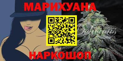 спайс Кингисепп
