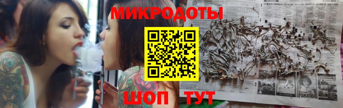 Псилоцибиновые грибы Psilocybe Звенигород